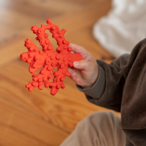 Lanco μασητικό-παιχνίδι μπάνιου από φυσικό καουτσούκ “Κοράλι”