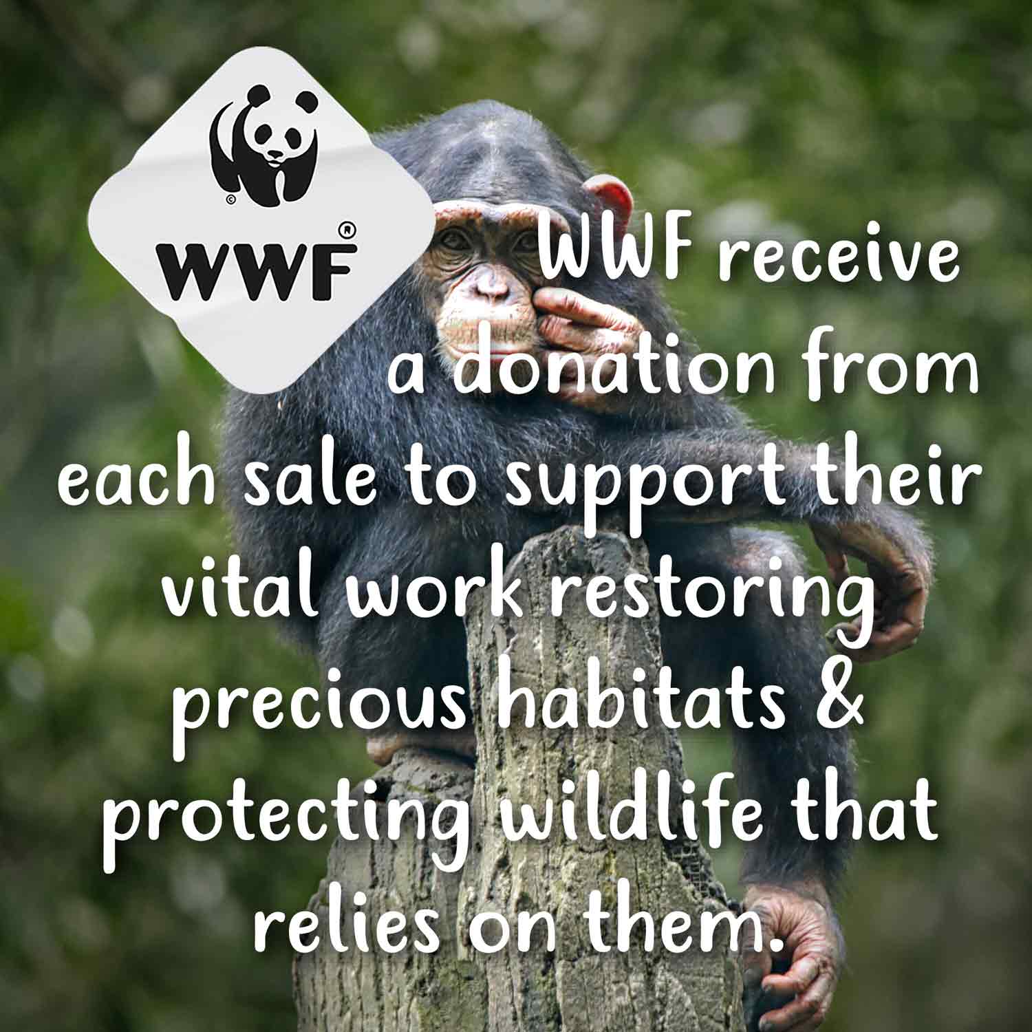 Παιδικό Ρολόι TIKKERS με Σχέδιο Χιμπαντζής - Image 6