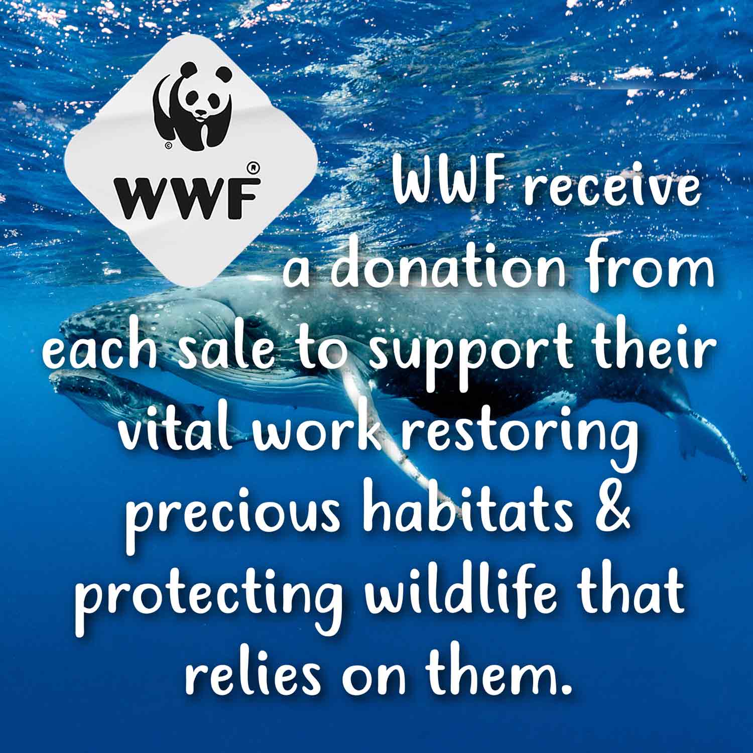 Παιδικό Ρολόι TIKKERS με Σχέδιο Φάλαινα - Image 6