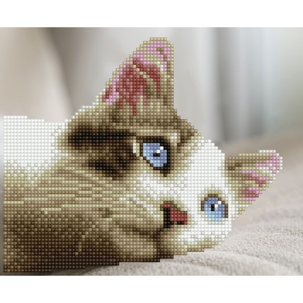 Daydream Kitty — Diamond Dotz σετ «Kitty»